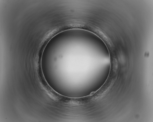 X0000097870490200803141301