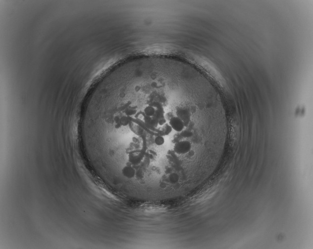 X0000097870491200803141301