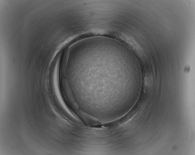 X0000097870492200803141301
