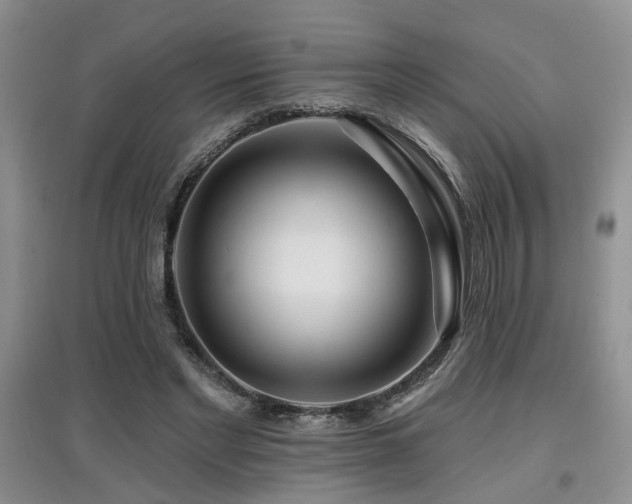 X0000097870493200803141301