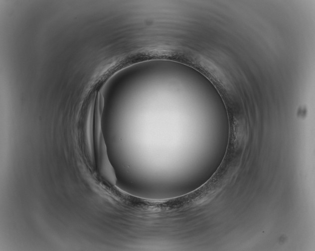 X0000097870494200803141301
