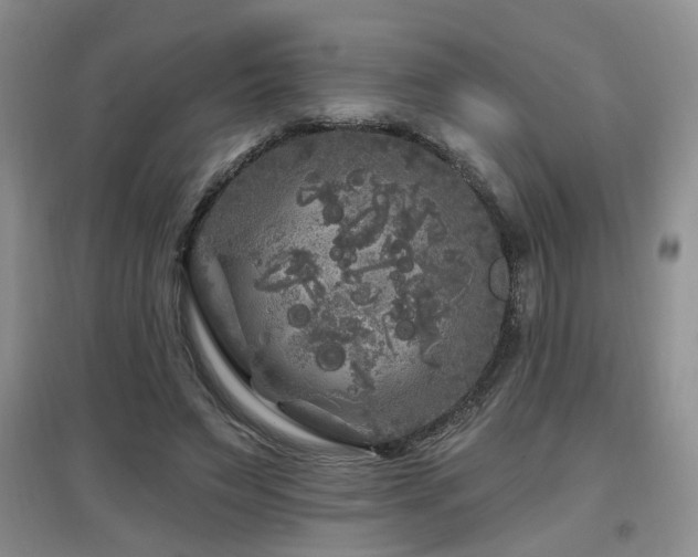 X0000097870495200803141301