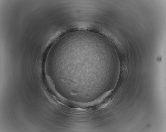 X0000097870496200803141301