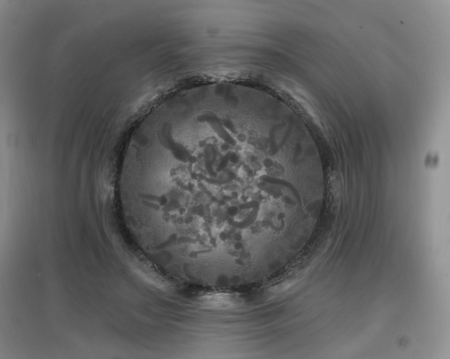 X0000097870499200803141301