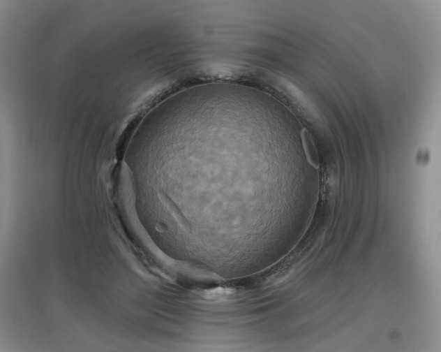 X0000097870500200803141301