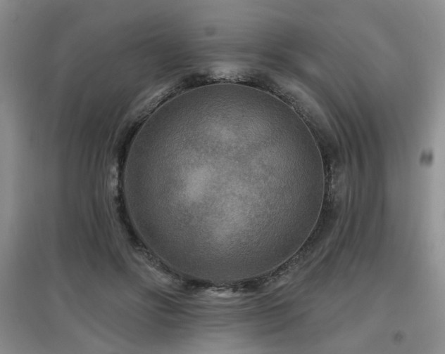 X0000097870502200803141301