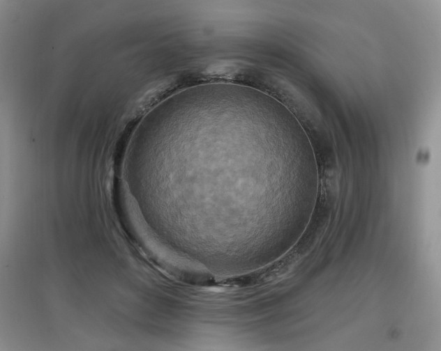 X0000097870504200803141301