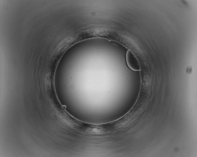 X0000097870506200803141301