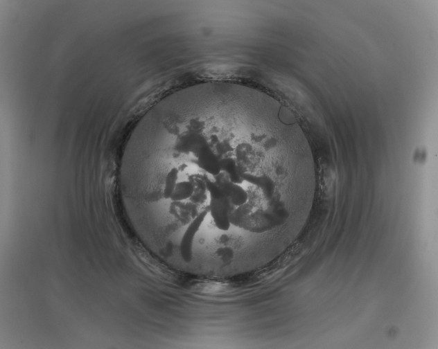 X0000097870507200803141301