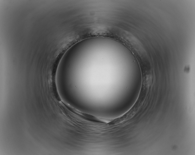 X0000097870508200803141301