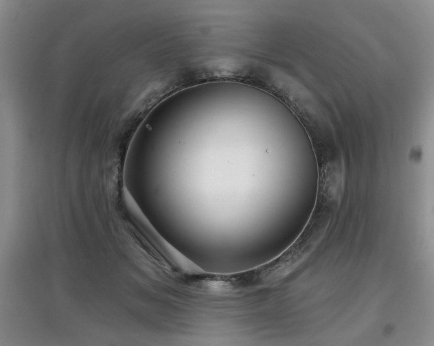 X0000097870509200803141301
