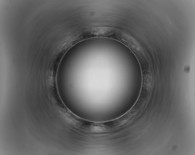X0000097870510200803141301