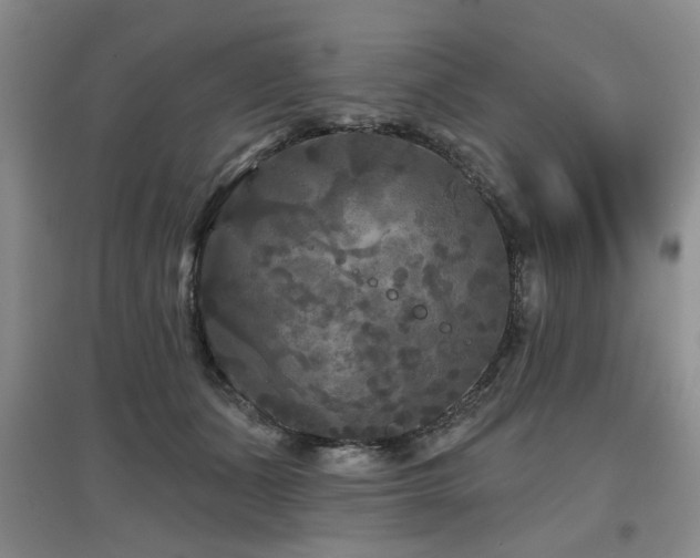 X0000097870511200803141301