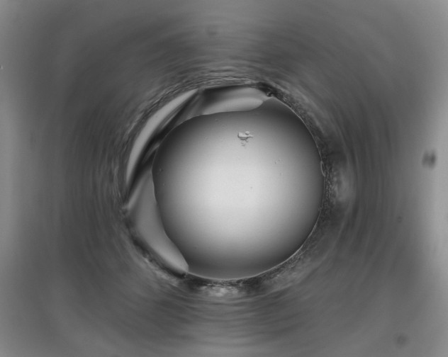 X0000097870512200803141301