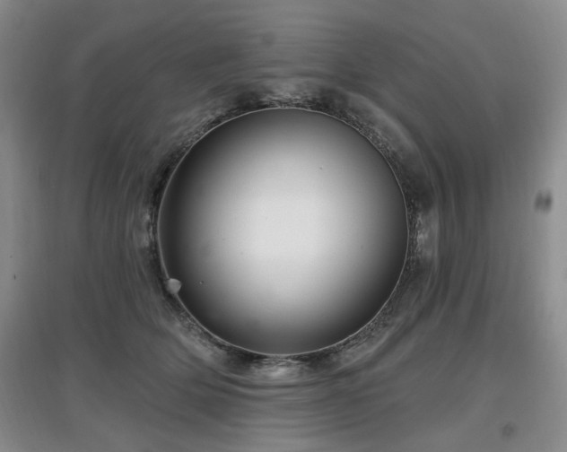 X0000097870514200803141301
