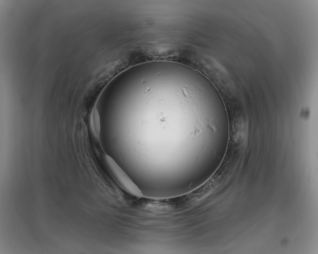 X0000097870515200803141301