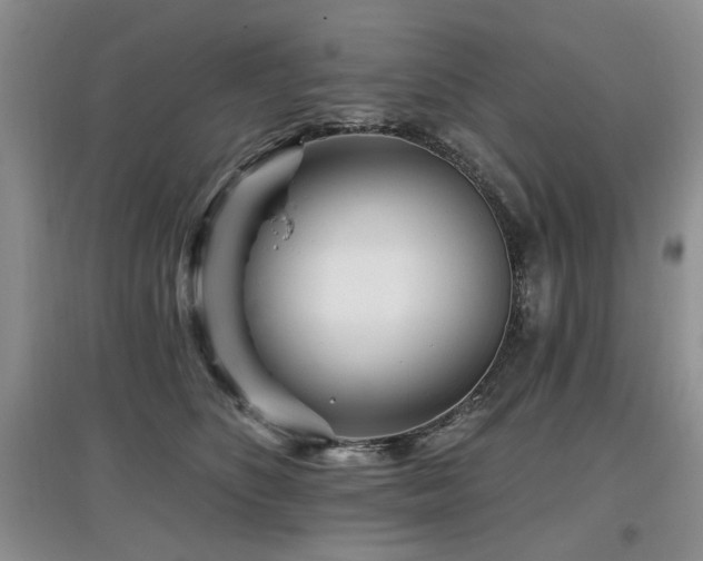 X0000097870516200803141301