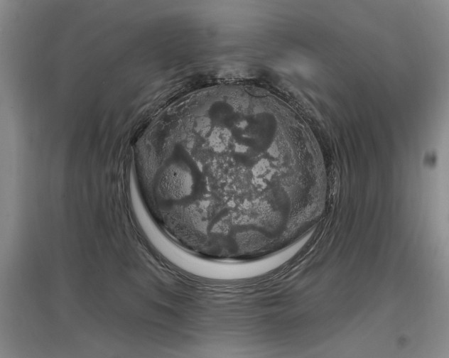 X0000097870519200803141301