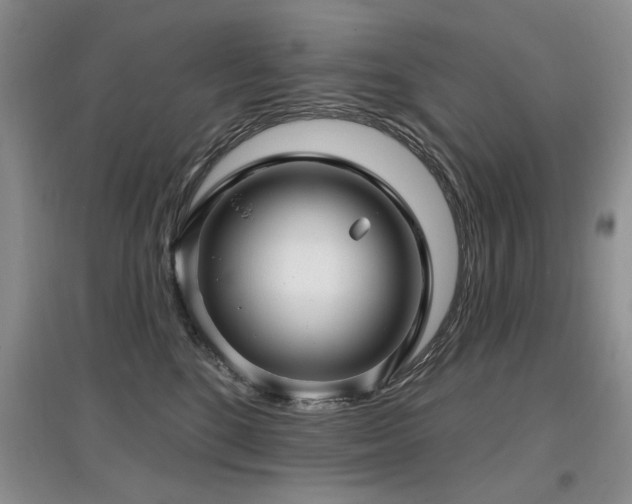 X0000097870520200803141301