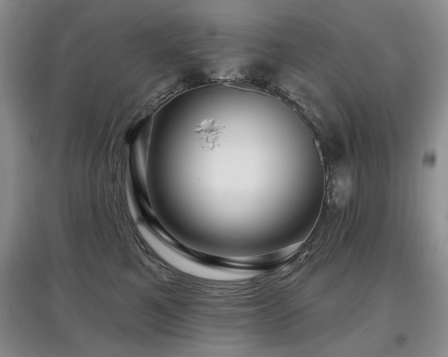 X0000097870521200803141301