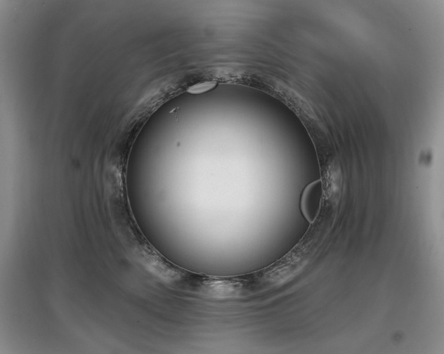 X0000097870522200803141301