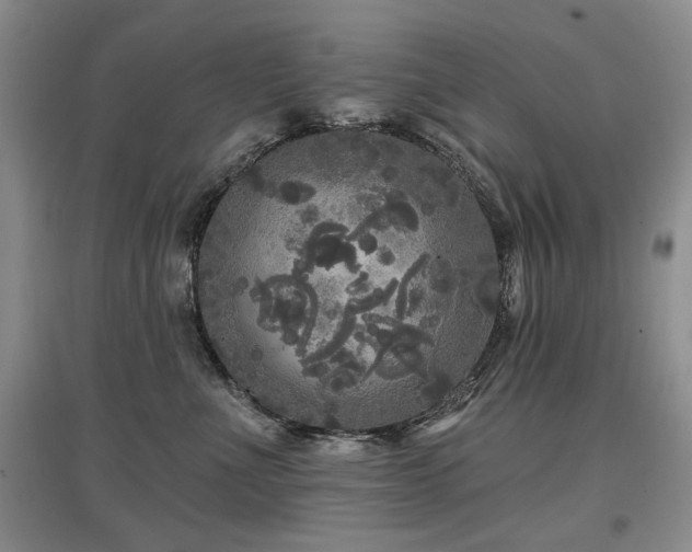 X0000097870523200803141300