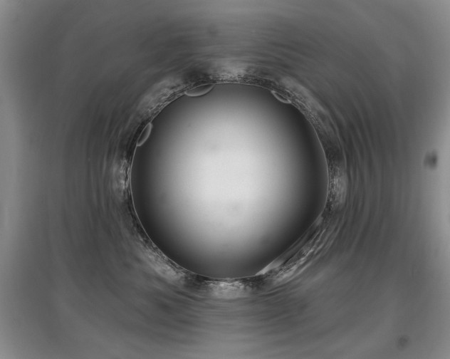 X0000097870525200803141300