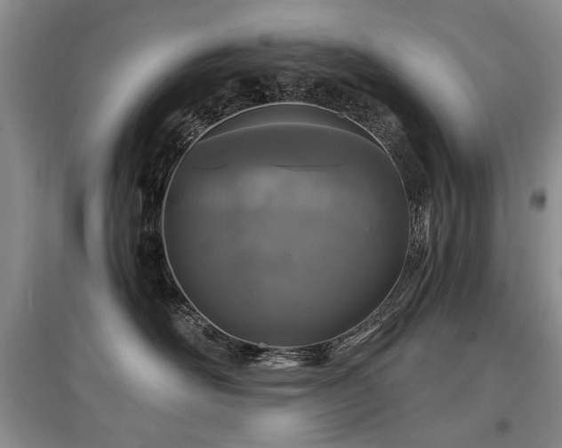 X0000097870526200803141300