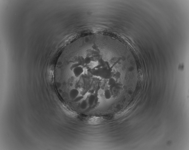 X0000097870527200803141300