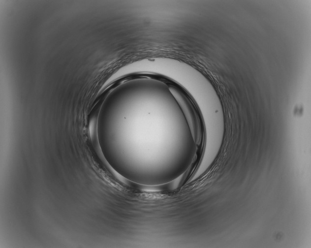 X0000097870528200803141300