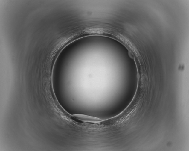 X0000097870529200803141300