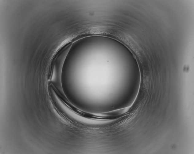 X0000097870530200803141300
