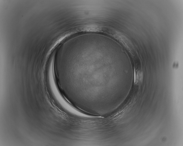 X0000097870531200803141300