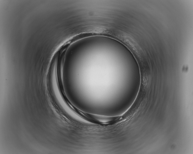 X0000097870532200803141300