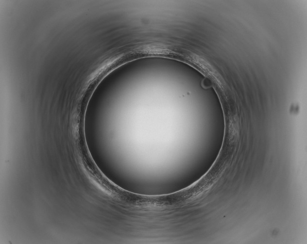 X0000097870533200803141300