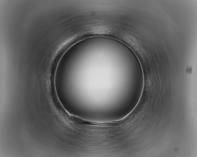 X0000097870535200803141300