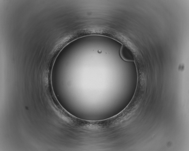 X0000097870537200803141300