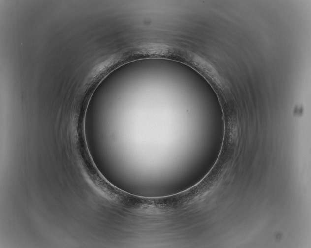 X0000097870538200803141300