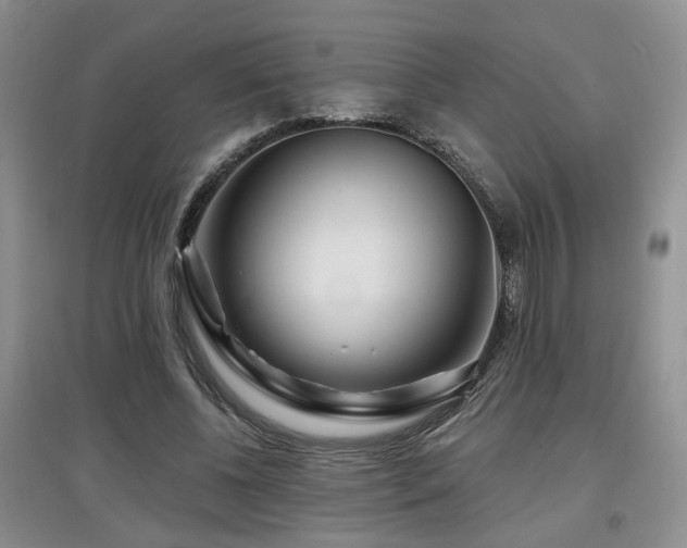 X0000097870540200803141300