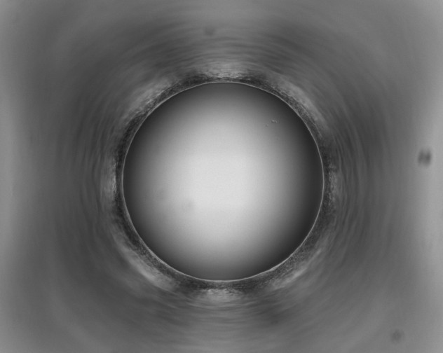 X0000097870541200803141300