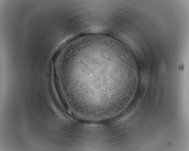 X0000097870542200803141300