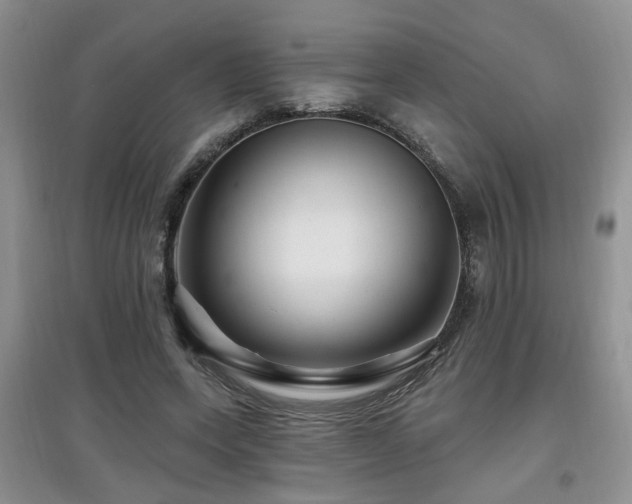 X0000097870543200803141300