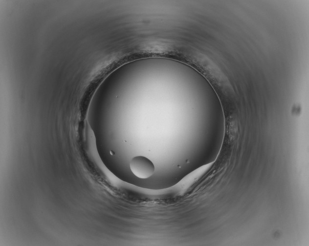 X0000097870544200803141300