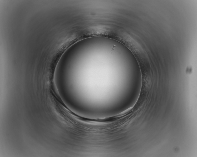X0000097870546200803141300