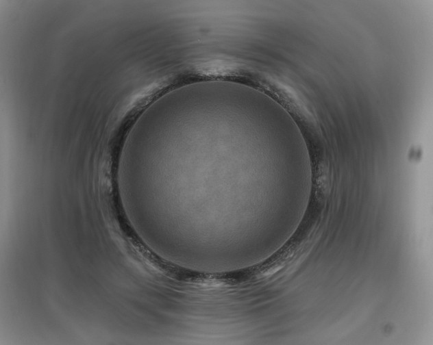 X0000097870547200803141300