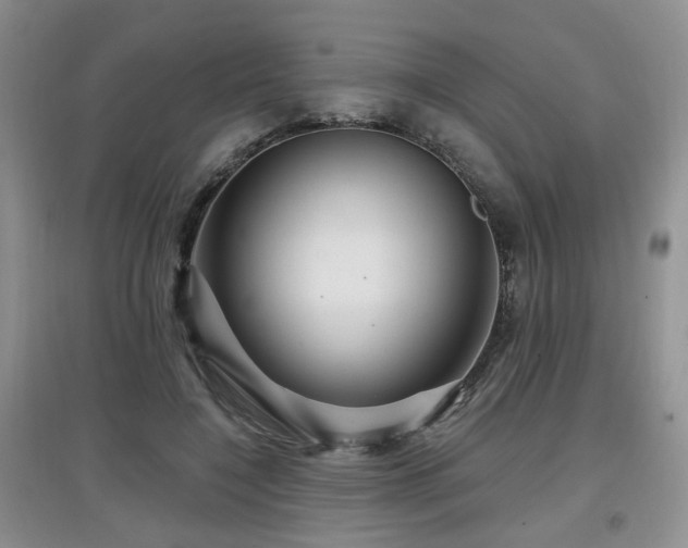 X0000097870548200803141300