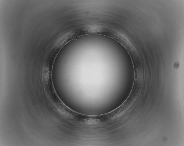 X0000097870549200803141300