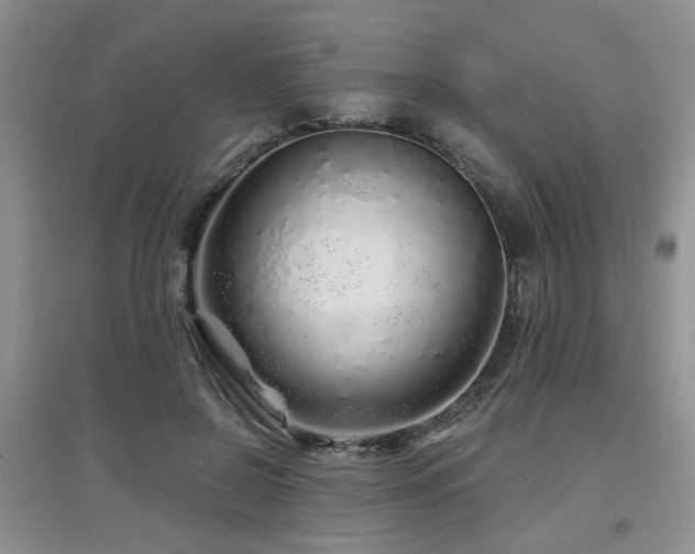 X0000097870550200803141300