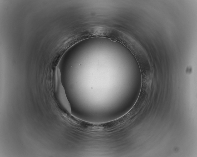 X0000097870554200803141300