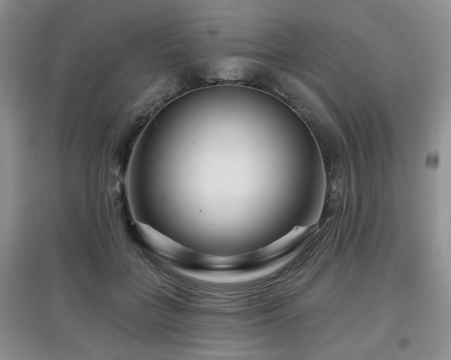 X0000097870555200803141300